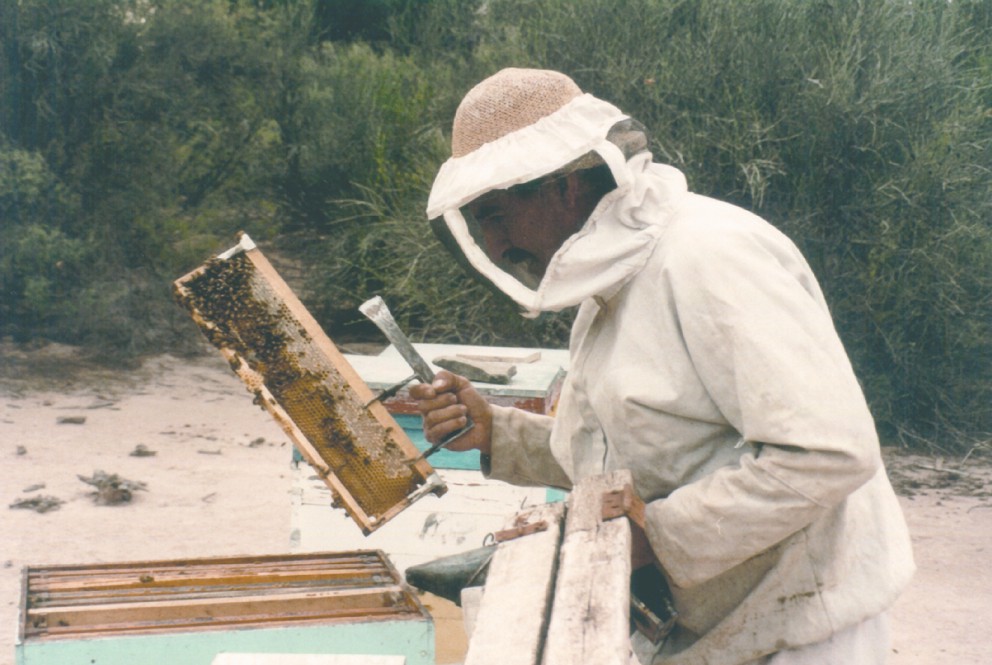 extraccion de muestras de miel en panal