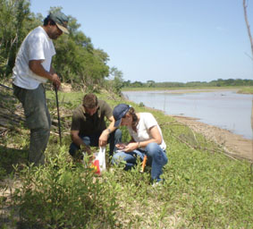Alisal en la ribera del rio Bermejo