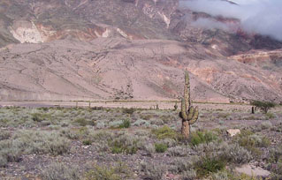 Quebrada de Humahuaca - Jujuy - Argentina