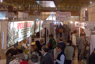 SALON DE EXPOSICIONES SOCIEDAD RURAL RIO CUARTO
